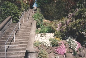 flowerlinedwalkway